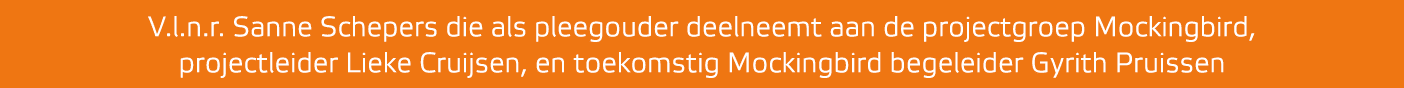 V.l.n.r. Sanne Schepers die als pleegouder deelneemt aan de projectgroep Mockingbird, projectleider Lieke Cruijsen, e...